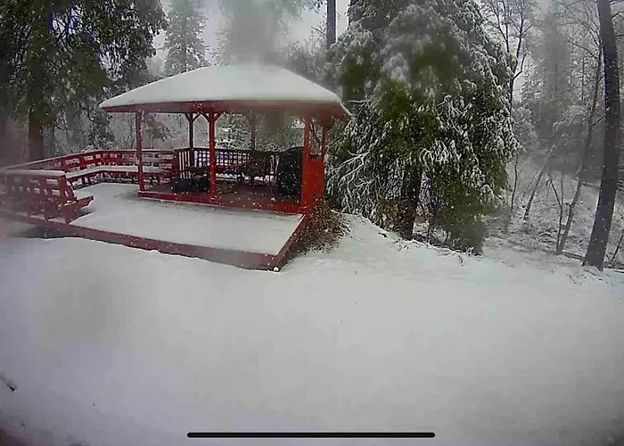 Forest Cabin By China Creek