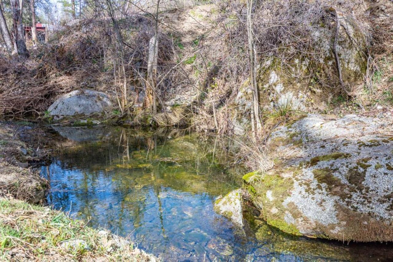 Forest By China Creek * Oakhurst